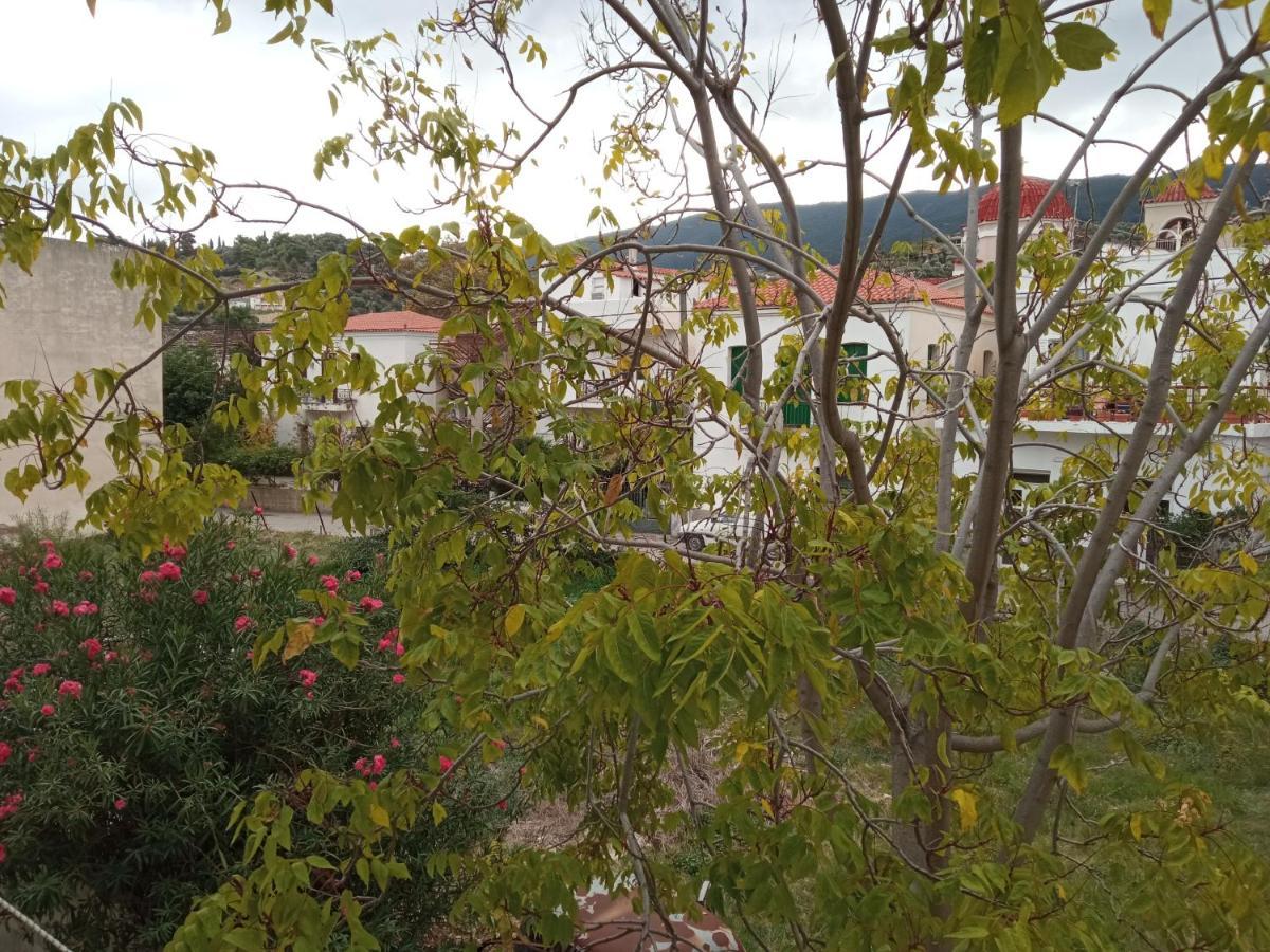 Bissias Guest House Galatás Luaran gambar